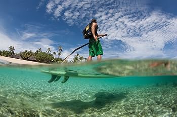 Amazon | Lowepro カメラリュック ドライゾーン200 20L 三脚取付